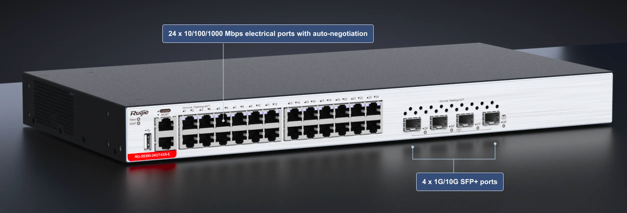 Layer 3 GE Managed Access Switch