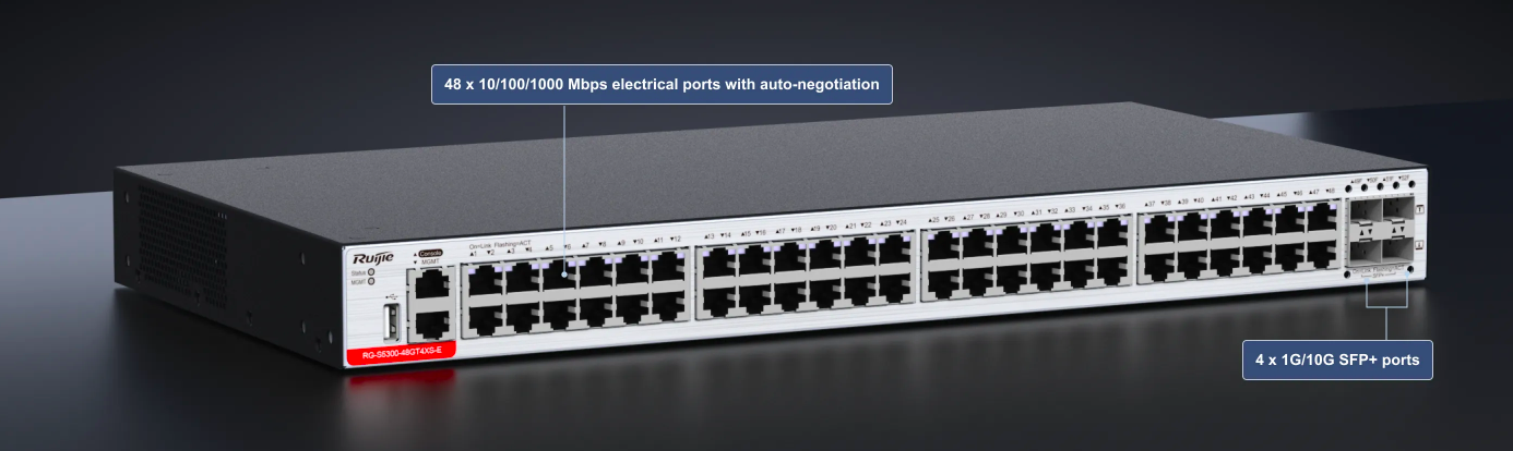 Layer 3 GE Managed Access Switch