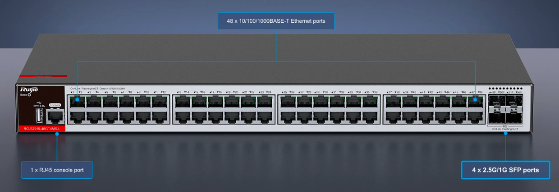 Layer 2+ Access Switch