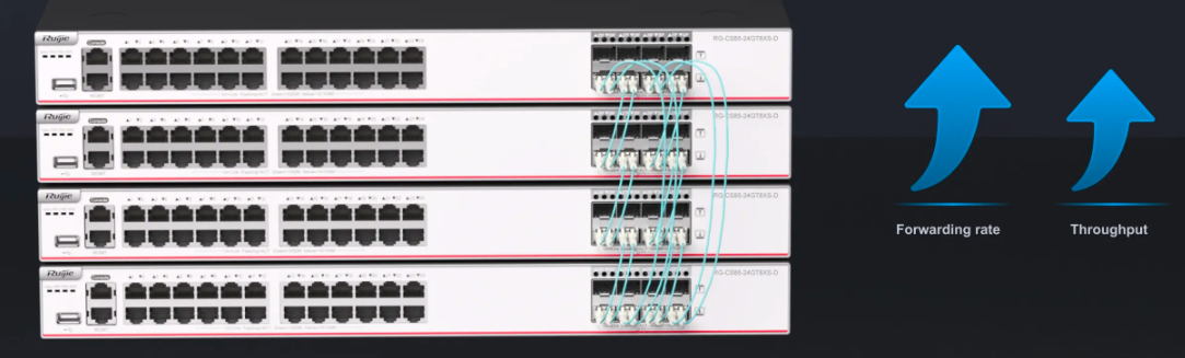 Flexible Networking and High Reliability